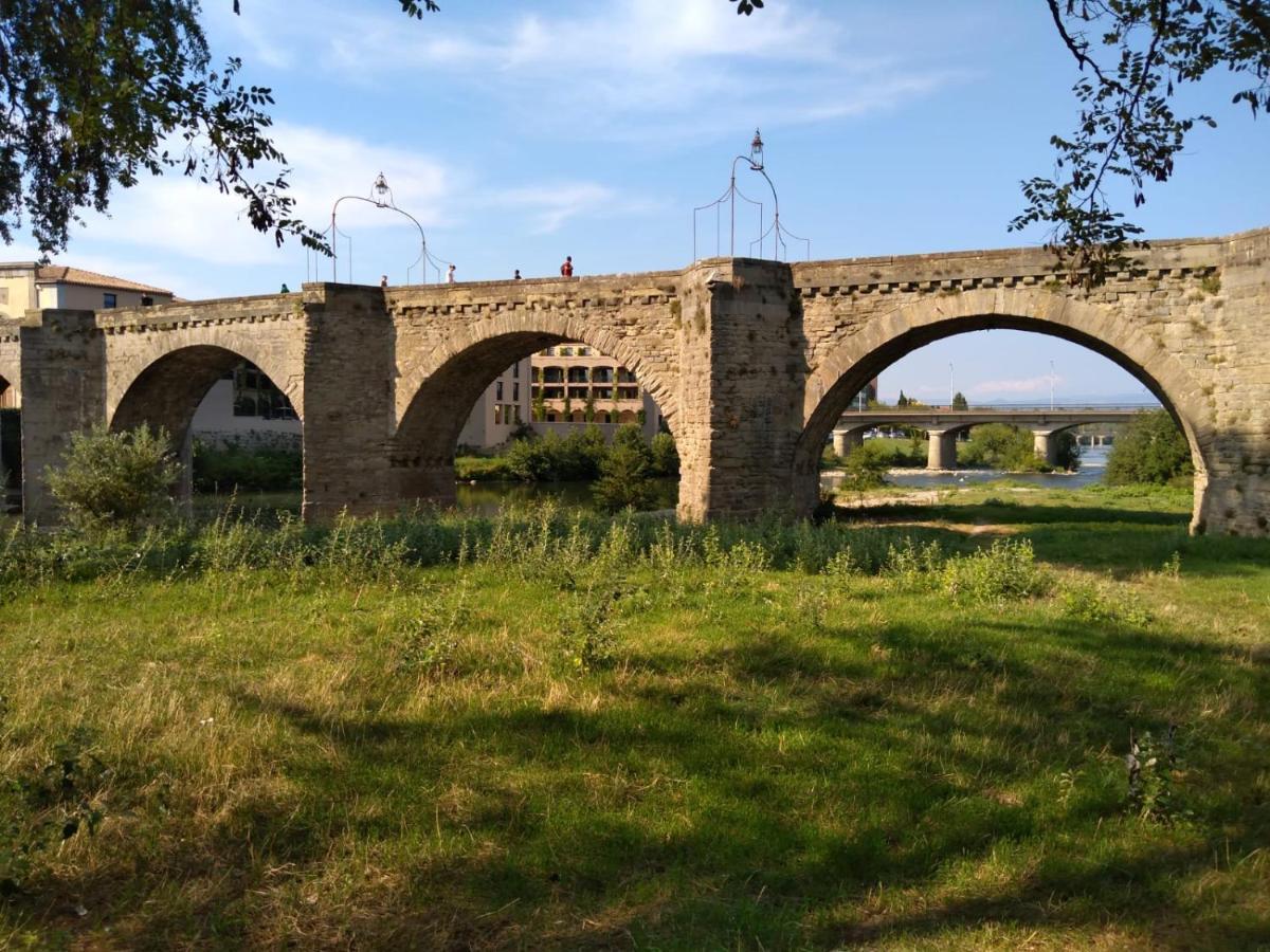 Apartamento Carcassonne T3 résidentiel rez de jardin piscine, wifi, tennis, fitness Exterior foto